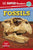 DK Books.Active DK Super Readers Level 3: Fossils