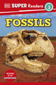 DK Super Readers Level 3: Fossils