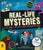 b small publishing Books Real Life Mysteries