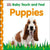 Baby Touch and Feel: Puppies