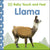 DK Children's Books Baby Touch and Feel Llama