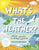 DK Children's Books What's The Weather?