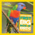 National Geographic Books Little Kids First Big Book of Birds