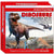 North Parade Publishing Books.Active World Of Discovery Dinosaur Educational Boxset