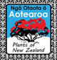 Nga Otaota o Aotearoa : Plants of New Zealand