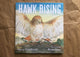 Hawk Rising