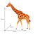 Robotime TOYS Robotime 3D Wooden Painting Puzzle-Giraffe