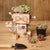 Robotime DIY Cartoon Wooden Plant Pot (Robot)